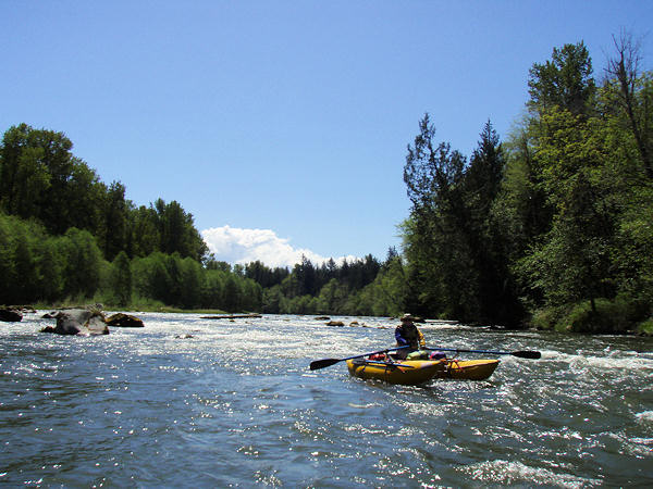 Nisqually River (WA) 2023